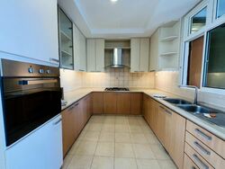 Patent Place (D21), Condominium #483533281